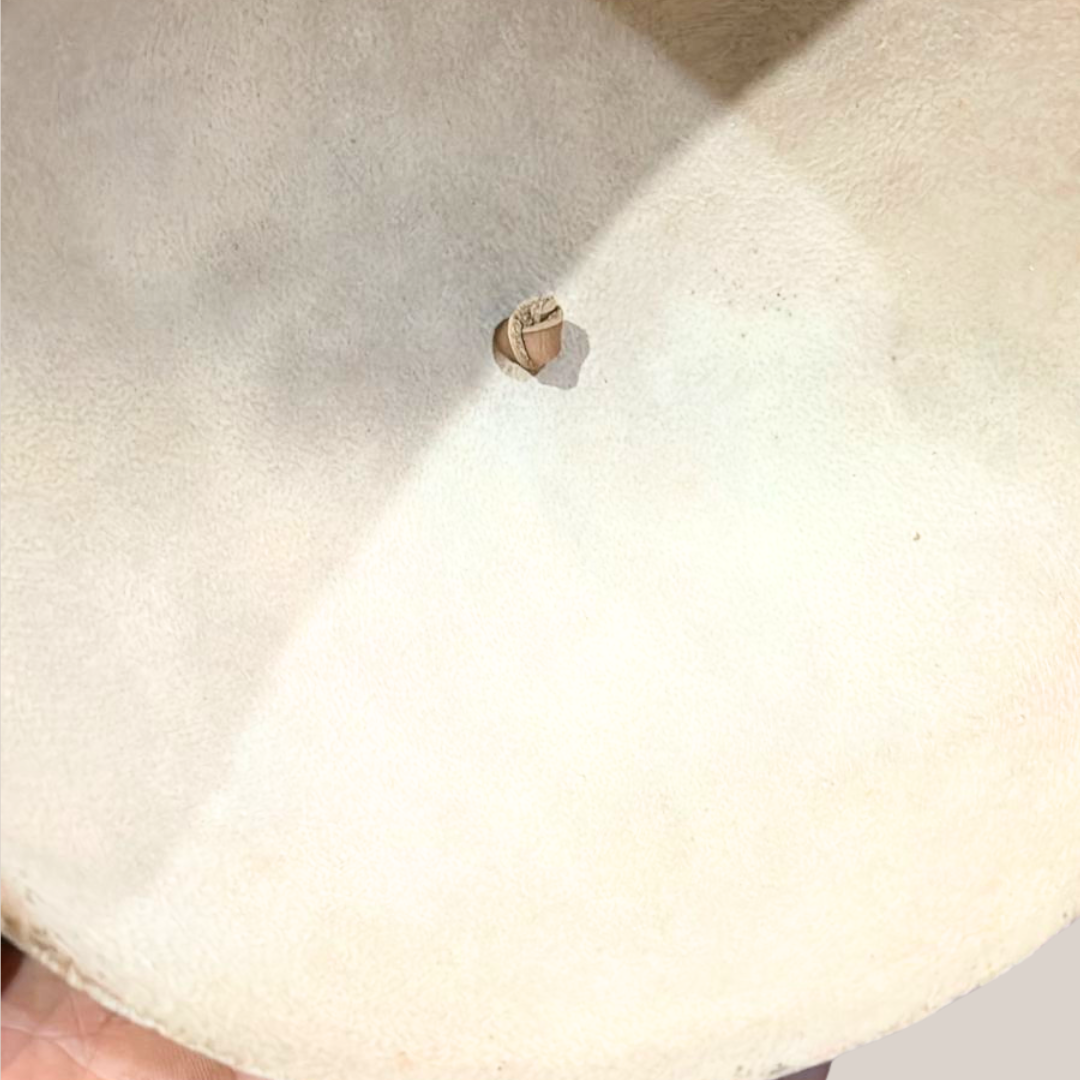 Campana cubre Platos | Jicara